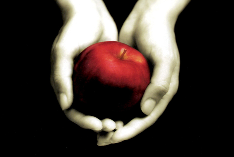 Stephenie Meyer - Twilight (Recensione)