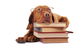 La classifica dei libri più venduti – 29 Febbraio 2016