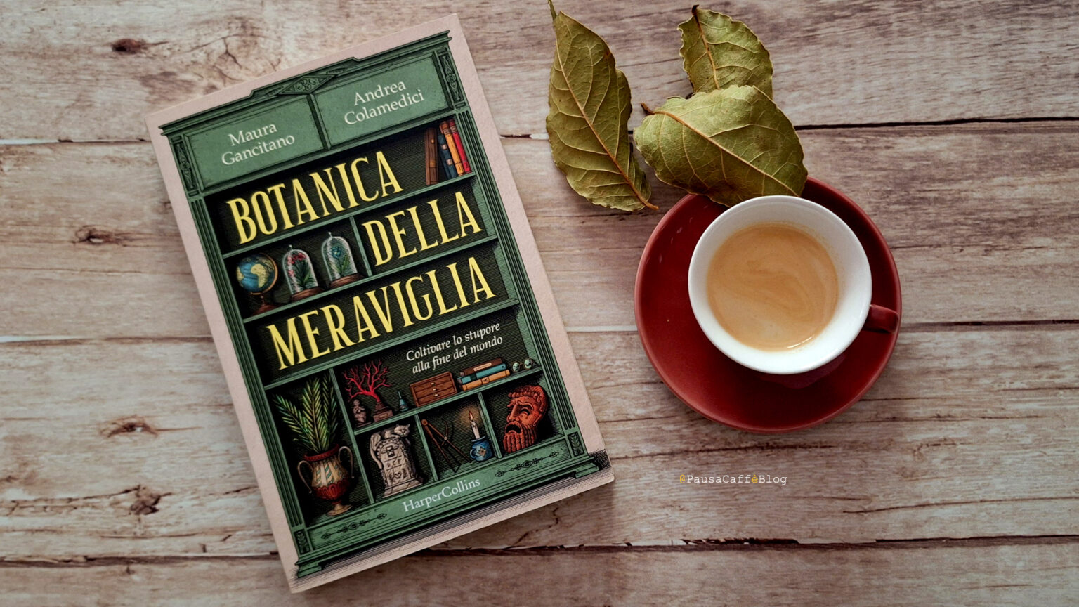 Botanica della meraviglia di Colamedici e Gancitano (Recensione) Botanica della meraviglia di Colamedici e Gancitano (recensione)